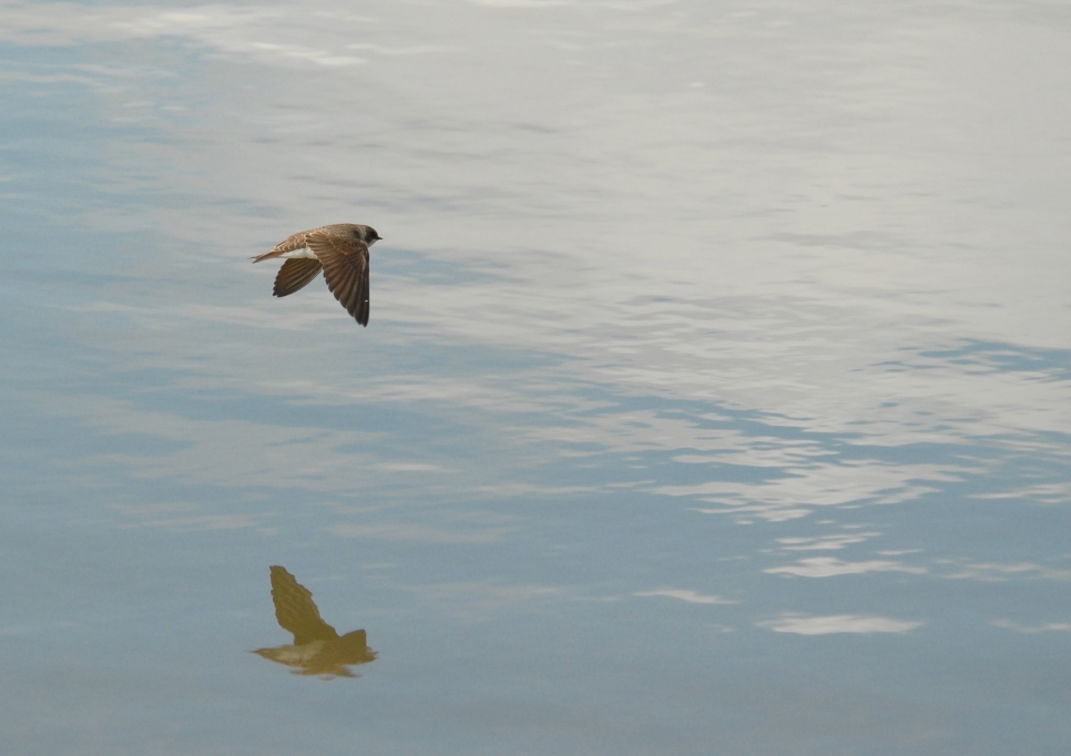 Latest Sightings